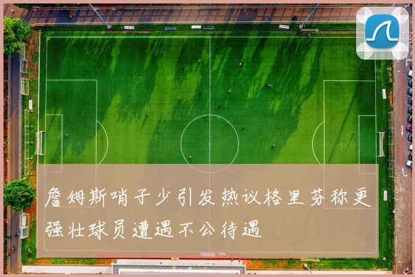 詹姆斯哨子少引发热议格里芬称更强壮球员遭遇不公待遇